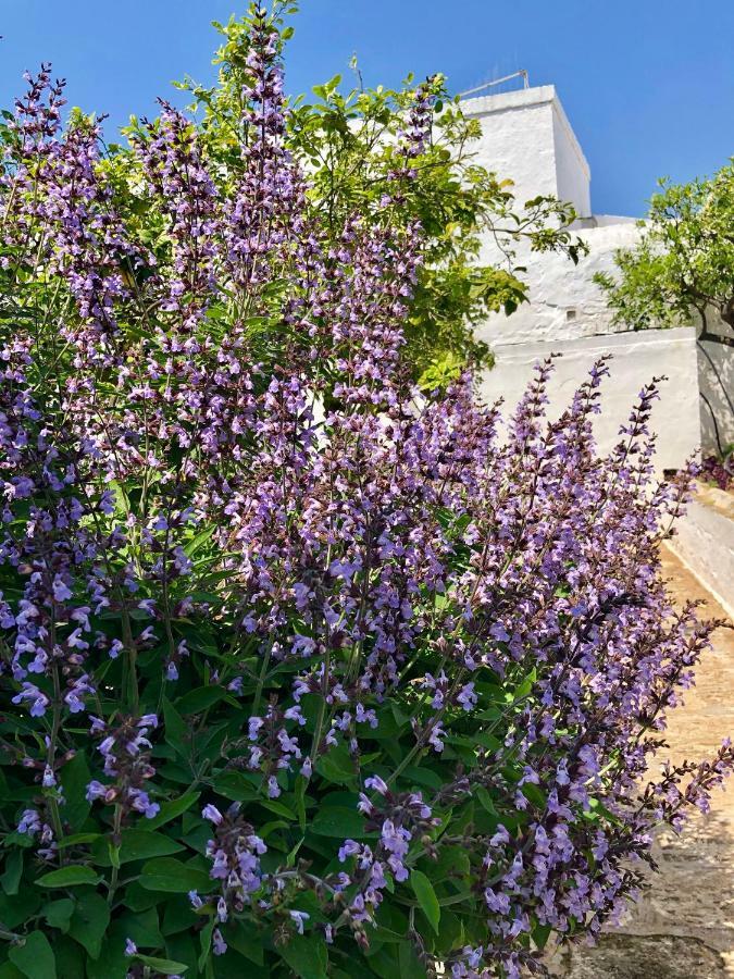 Masseria Rienzo Ostuni Exterior photo